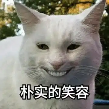 懂了表情包动图趣图