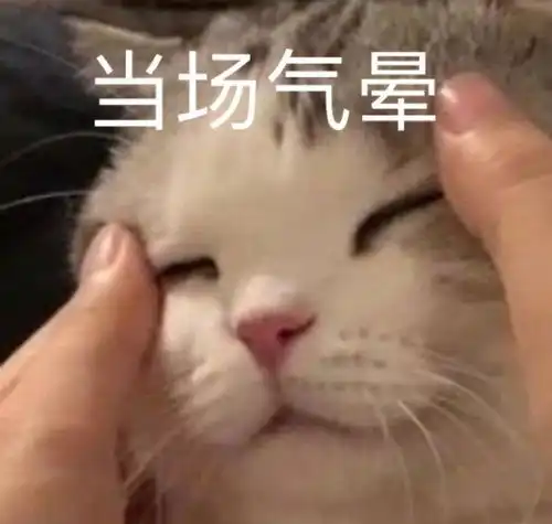  手机里那些最宝贝的表情包,速来收图