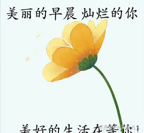  今天最漂亮的早上好表情包,朋友早上好最美祝福语