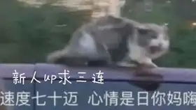  腐蚀绝缘体没错了