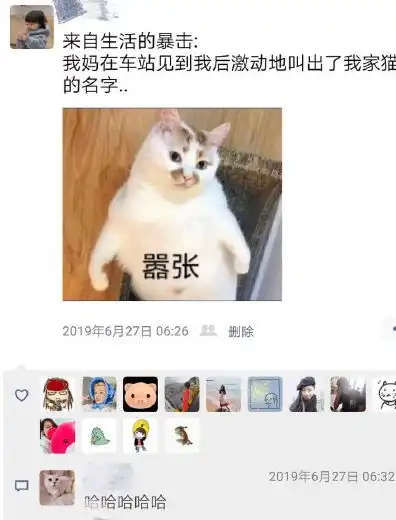  幽默搞笑段子集这绝对亲生的,真是人不如宠物呀,哈哈哈哈哈哈