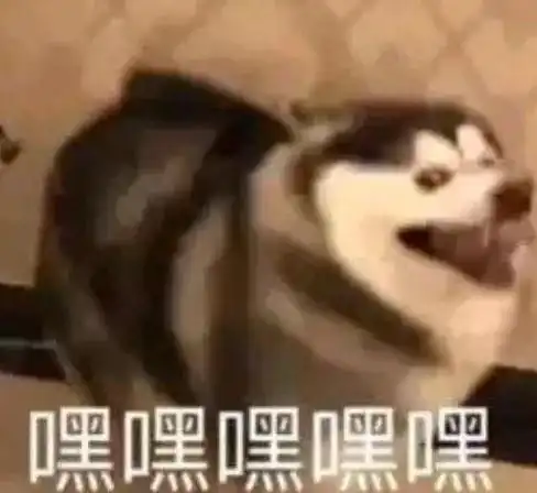 他十年如一日忽悠萌新,最后竟然被萌新组队给爆船了 他十年如一日忽悠萌新,最后竟然被萌新组队给爆船了