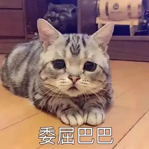  猫星人委屈巴巴的表情包