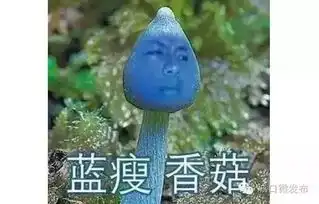 2016十大网络热词出炉,你不知道就out了