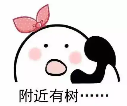  有个路痴朋友是种怎样的体验