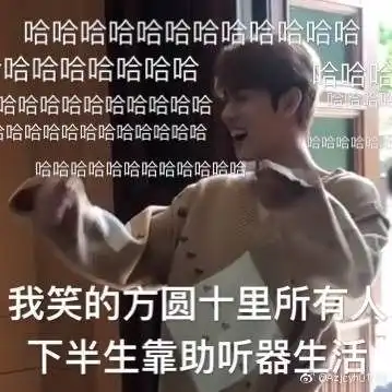  木子洋沙雕表情包专题