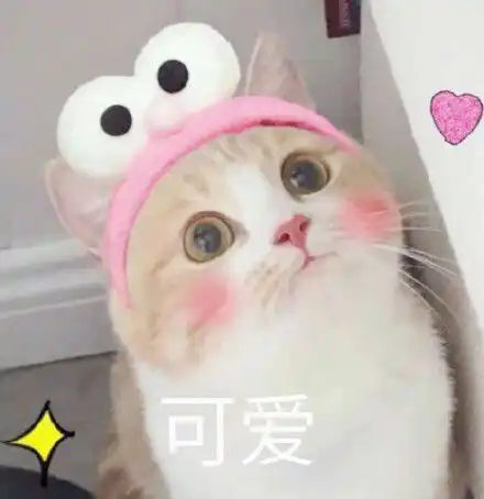  用一种水果形容你爱豆