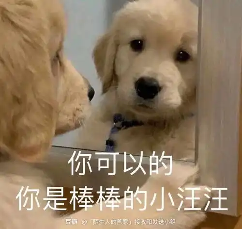  已解决博士延毕怎样回答不熟的人对自己的灵魂...