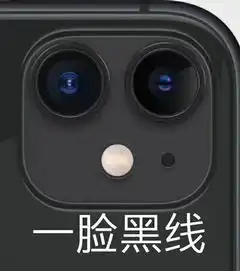  iphone镜头表情包