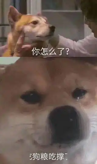  又搞事情今天微信调红包上限了你收到发红包了吗