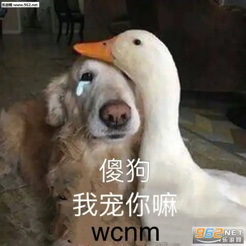  我疯了我秃了表情包图片好我闭嘴表情包下载乐游网游戏下载