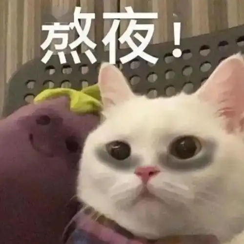  刚睡醒,什么事丨第299期猫咪表情包