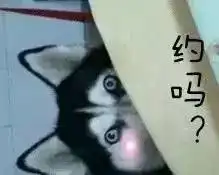 哈士奇表情包
