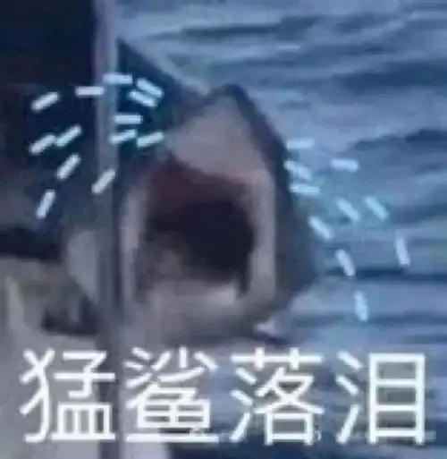  记录过最治愈的瞬间呜呜呜有被可爱到