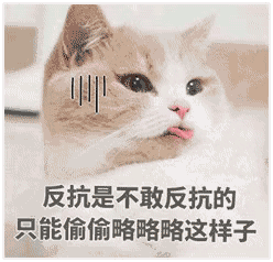  猫咪表情包反抗是不敢反抗的,只能偷偷略略略这样子