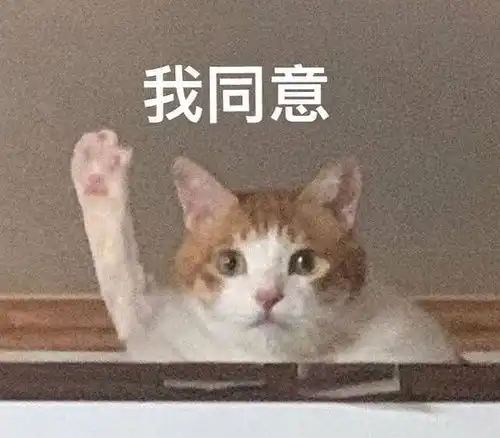 进城了表情包睾酮