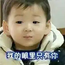  她除了性别是真的,其他都是假的