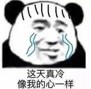  表情包这天真冷,像我的心一样