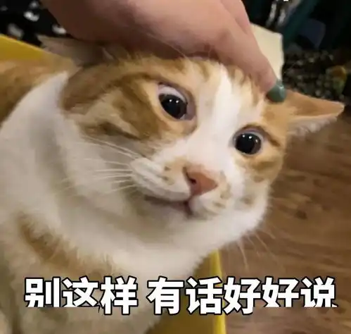 英雄联盟,启动丨第201期表情包