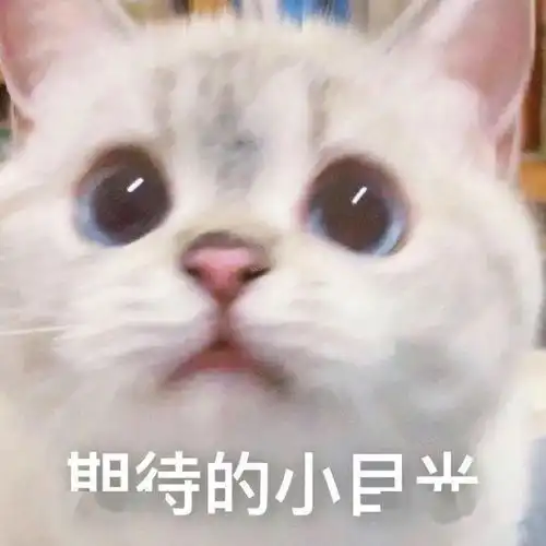  11月19日表情包合集