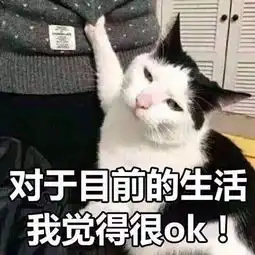 什么生活对我这只小猫咪动手了吗