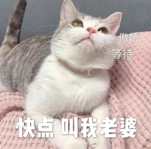 和对象聊天用的可爱表情包 和对象聊天用的可爱表情包