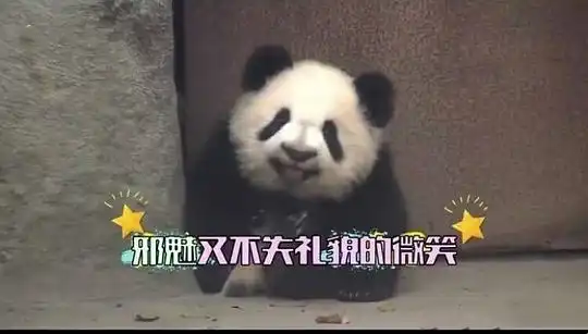 熊猫放屁爱心表情包暴雨
