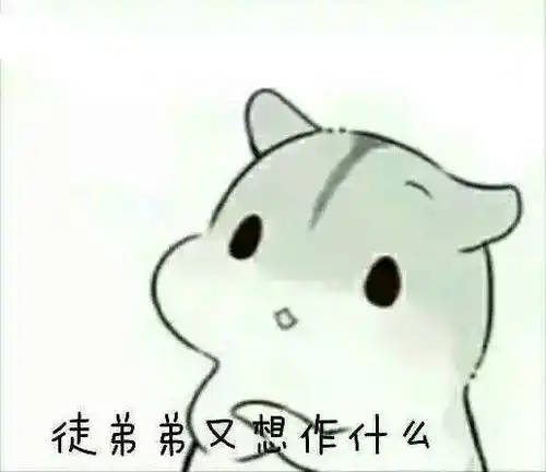  hamham小仓鼠表情包堆糖,美好生活研究所