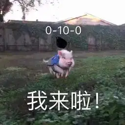 热门表情包,你忙吧,我打游戏了 热门表情包,你忙吧,我打游戏了