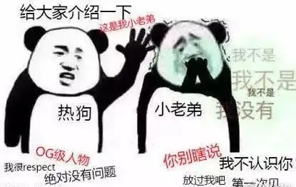  ins上这只贪睡猫火了看一眼它睡觉,就治愈感满满本周壁纸更新ins晚抱