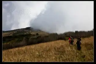 野人图片表情包老君山
