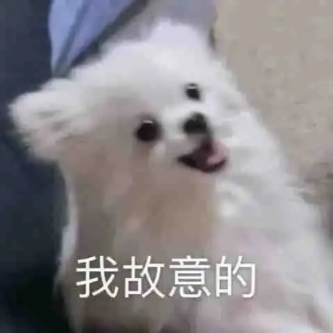  丰富一下你的表情包7.1
