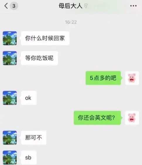  爆笑合集这表情太到位了