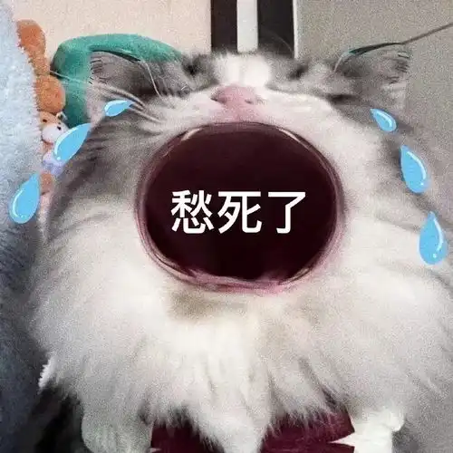  猫咪大哭大嘴表情包快发你的爸爸妈妈姐妹男女朋友吧已更新