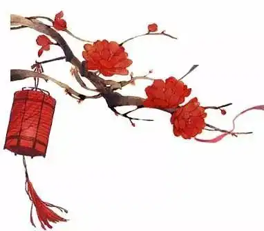 r1se表情包花开是壶生日