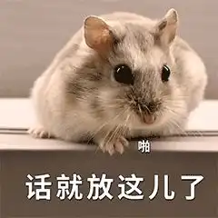  表情包仓鼠失去梦想变成小汤圆