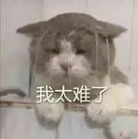  猫咪表情包合集呜呜呜,这是什么人间疾苦