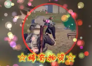  刺激战场背包满了又看到稀有物资怎么办菜鸟扔药,战神扔它