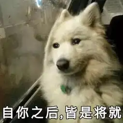  震惊他们的宿舍到底经历了什么