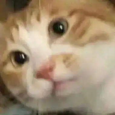 沙雕表情我的天空在下着小雨 沙雕表情我的天空在下着小雨