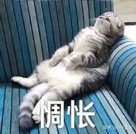  全网推的博乐达水杨酸真的有效吗到底是口碑国货,还是踩雷网红款