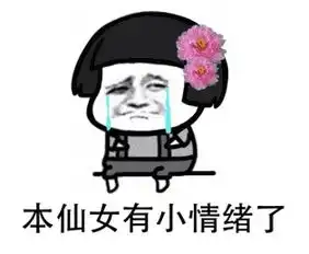 小仙女最美表情包收到