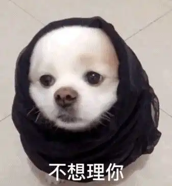 问对方在干嘛的表情包狗