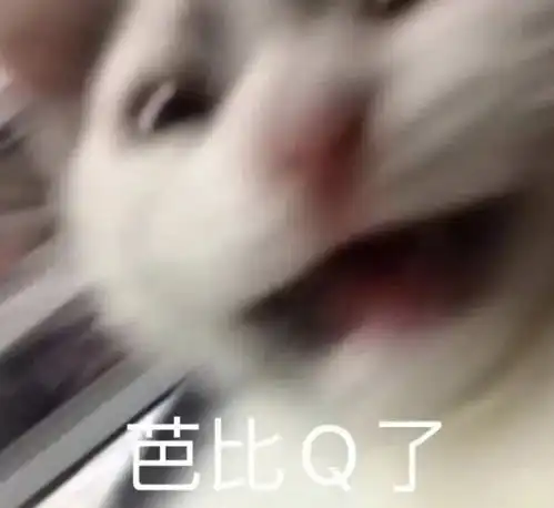  搞笑女必备表情包还想要什么尽管说出来