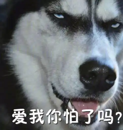  火遍朋友圈的单身狗结婚了连狗都结婚生崽,而你