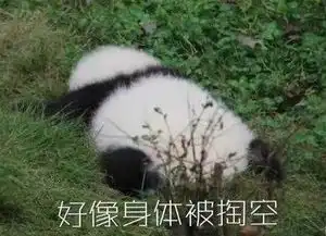  蹲着坐着你站哪队慎点有味儿