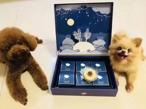  忘了复联吧,钢铁侠洛基绿巨人他们都去改行去做这个了附中奖名单