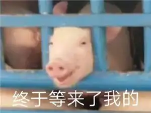  精选图片帖苍溪论坛第84页