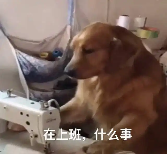 发工资表情包沙雕薪酬调