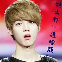  求exo的qq头像,要女生的头像和有关exo的字,字体要好看,跪求